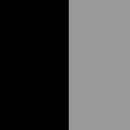 Black/Gray/Smoke-Gray/Clear